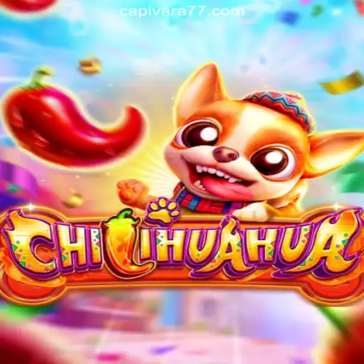 Discover CHILIHUAHUA: The Ultimate Experience on Capivara777